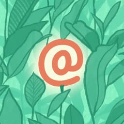 Miniatura oficial de WP Mail Logging